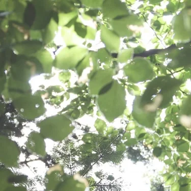 企業道德與永續經營